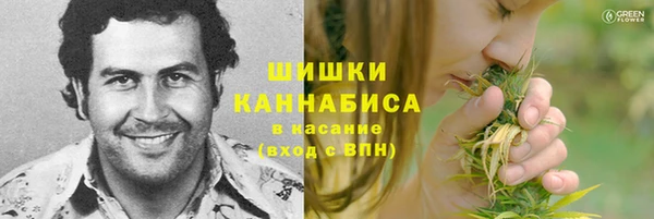 кокс Белокуриха