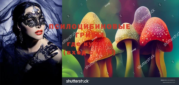 кокс Белокуриха