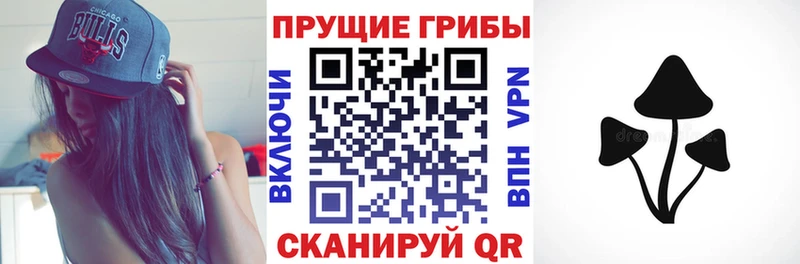 Галлюциногенные грибы прущие грибы  как найти   Тосно 